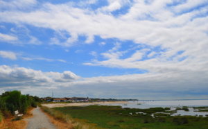 Balade dans les près salés et arrivée sur Andernos