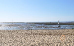 Triptyque de cœurs à Claouey