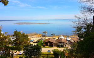 Balade au dessus du port d'ostréicole de petit Piquey