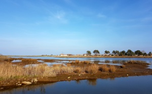 Près Salé ouest : jolie balade entre Arcachon et la Teste
