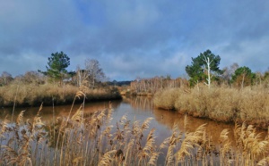 Près Salé ouest : jolie balade entre Arcachon et la Teste