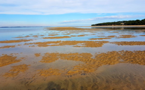 Rare photo du banc de sable de Pereire à marée montante