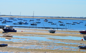 Marée descendante sur le Bassin d' Arcachon