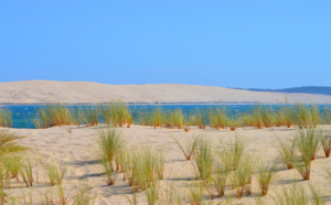 Vert, sable et dune Vert, sable et dune