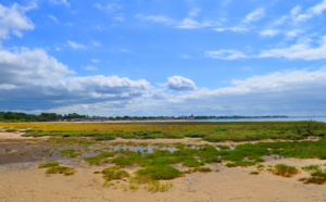 Balade depuis la Réserve de Saint-Brice vers Andernos