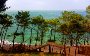 Bassin d'Arcachon vert pin