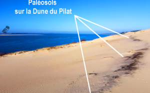 Voir des paléosols et remonter l'histoire de la Dune du Pilat