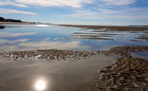 Le Bassin d'Arcachon vu de chouette
