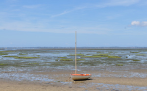 Les marées du Bassin d’Arcachon : Un phénomène naturel fascinant à explorer