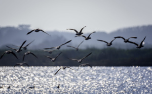 7 choses à faire en automne sur le bassin d’Arcachon