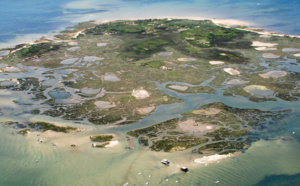 Comment aller à l'île aux oiseaux ?