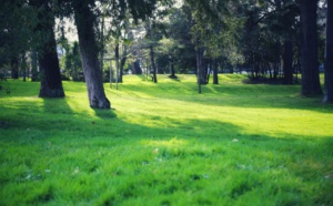 7 choses à savoir sur le parc Mauresque à Arcachon