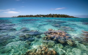 Connaissez-vous le point commun entre le bassin d’Arcachon et la Polynésie française ?