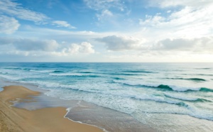 Une culture de la paix ancrée dans l'amour et la conscience : le Bassin d'Arcachon comme modèle