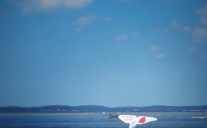 La queue de baleine d’Arcachon