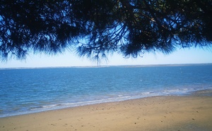 Qu’est ce que le(s) bassin(s) d’Arcachon ?