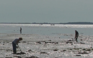 Pêche à pied sur le Bassin d’Arcachon : plus qu’un loisir, un art de vivre