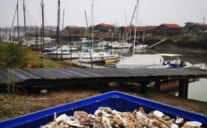 Qui mangera la dernière huître du Bassin ?