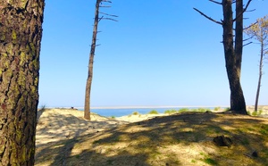 Le Bassin d’Arcachon se vide… et pas seulement à marée basse