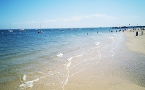 Bassin d’Arcachon : a-t-il encore quelque chose de sauvage ?