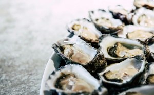 Les huîtres du Bassin seront-elles sûres en fin d’année ?