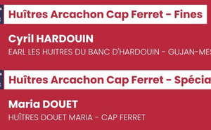 Bassin d’Arcachon : nos huîtres raflent les médailles !