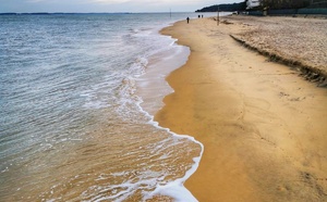 L’envers du décor sur le Bassin d’Arcachon en 2026