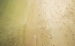 Tout savoir sur le sable d’Arcachon