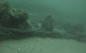 Le Trou Saint-Yves : le secret bien gardé du Bassin d'Arcachon