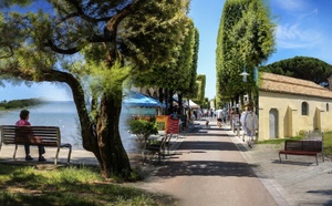 À Andernos, une forêt a disparu sous la ville