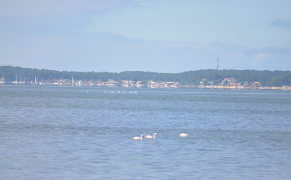 Bassin d' Arcachon couleur pastel depuis Arès