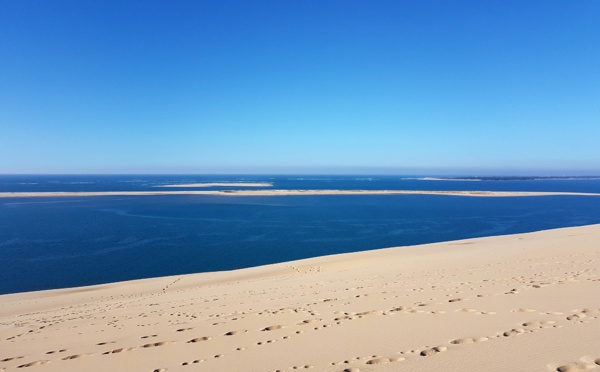 Les bleus d'hiver de la Dune du Pilat