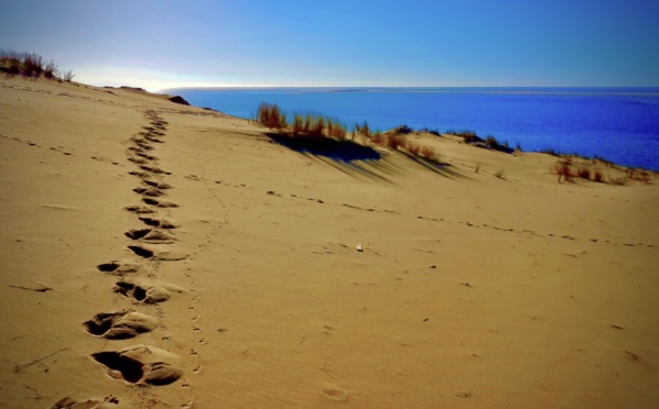 Marche sur dune du Pilat
