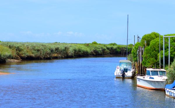 Ambiance près du port des Tuiles à Biganos