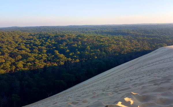 Face est de la dune du Pilat