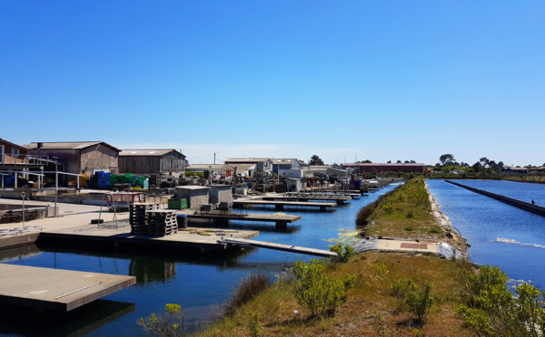 Le port de Meyran à Gujan-Mestras