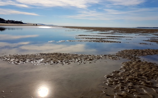 Le Bassin d'Arcachon vu de chouette