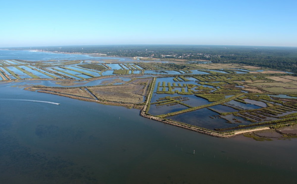 Explorez Audenge, la méconnue du bassin d’Arcachon