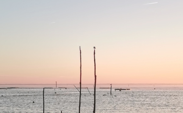 Balade sur une plage du bassin d’Arcachon (en famille, avec enfant et en hiver)