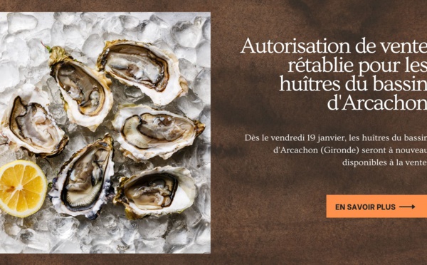 Autorisation de vente rétablie pour les huîtres du bassin d'Arcachon