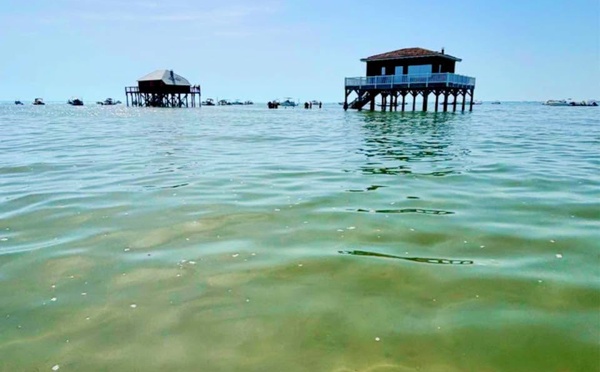 Eau du Bassin d'Arcachon : vraiment plus propre qu'il y a 50 ans ?