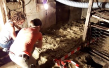 Fouilles archéologiques sur un bunker à Arcachon