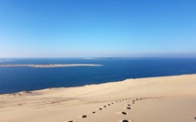 Balade sur la Dune du Pilat