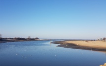 Vidéo depuis le Port de la Hume à Gujan Mestras