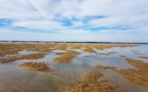 Banc de sable de Pereire à marée montante