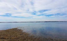 Pays de Buch et Bassin d'Arcachon