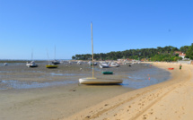 Que signifie Petit Piquey en gascon ?