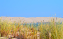 La dune et son environnement