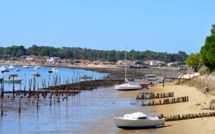 Naturellement Grand Piquey
