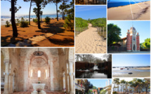 TOP 10 des articles les plus lus de Bassin-Arcachon.org